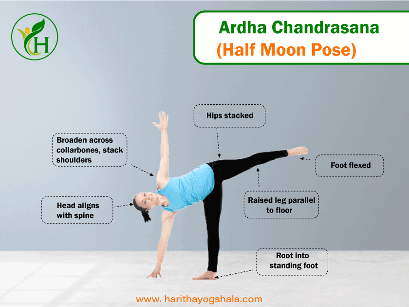 Infographics of Ardha Chandrasana (Half Moon Pose)